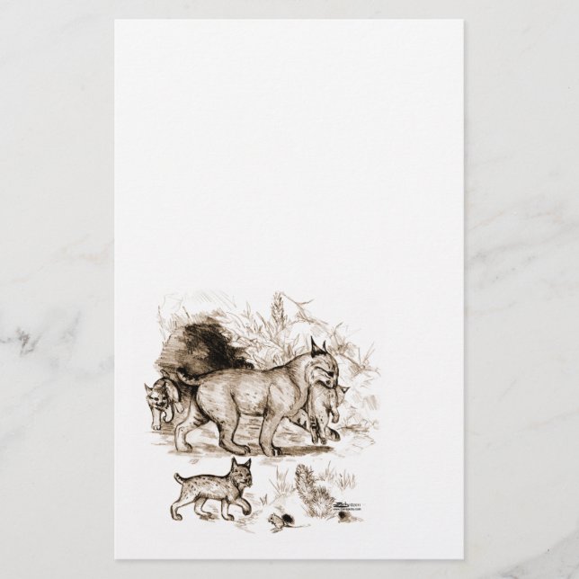 Bobcat Familie Briefpapier (Vorderseite)