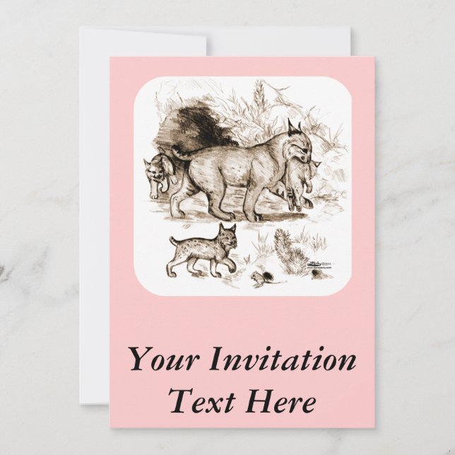 Bobcat Familie Einladung (Vorderseite)