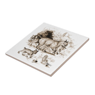 Bobcat Familie Fliese