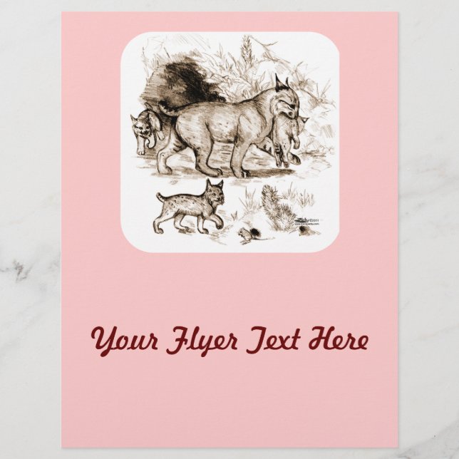 Bobcat Familie Flyer (Vorne)