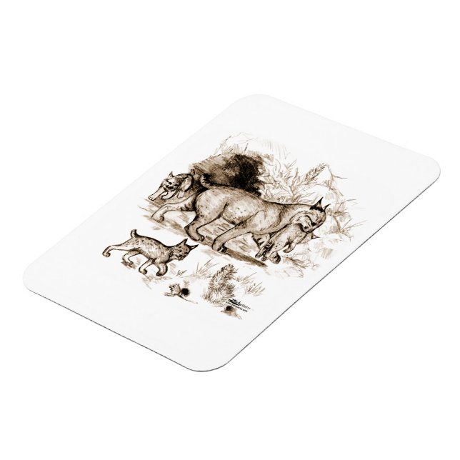 Bobcat Familie Magnet (Linke Seite)