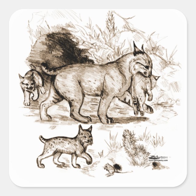 Bobcat Familie Quadratischer Aufkleber (Vorderseite)