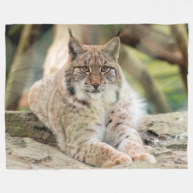 Bobcat Fleecedecke (Vorderseite (Horizontal))