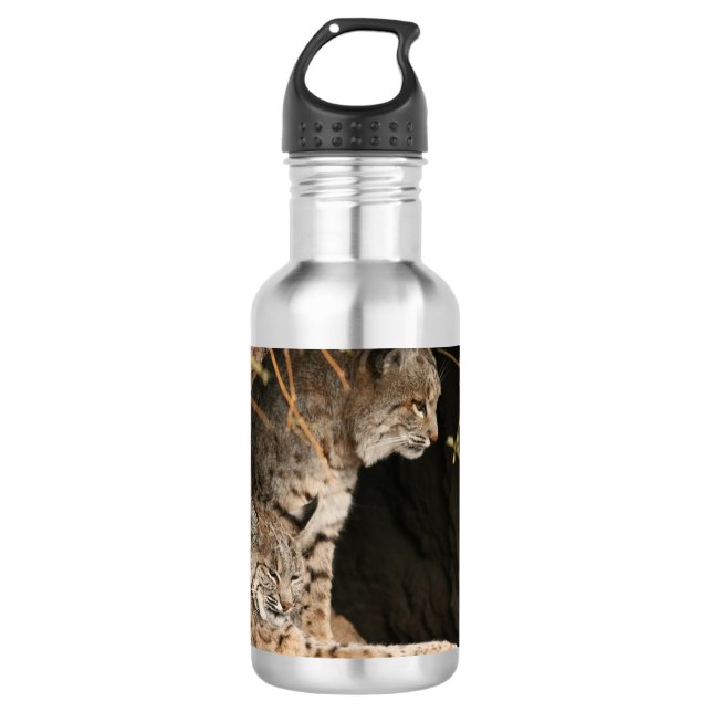 Bobcat-Foto Edelstahlflasche (Vorderseite)