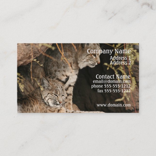 Bobcat-Foto-Geschäfts-Karte Visitenkarte (Vorderseite)