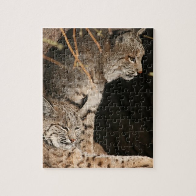 Bobcat-Foto-Puzzlespiel (Vertikal)