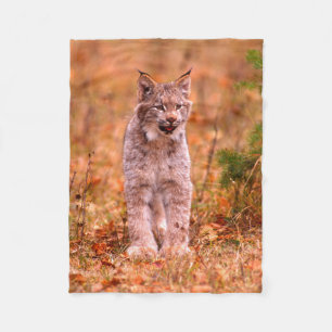 Bobcat Jagd Herbstwald Fleecedecke