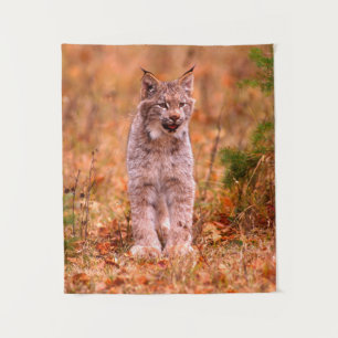 Bobcat Jagd   Herbstwald Wandteppich