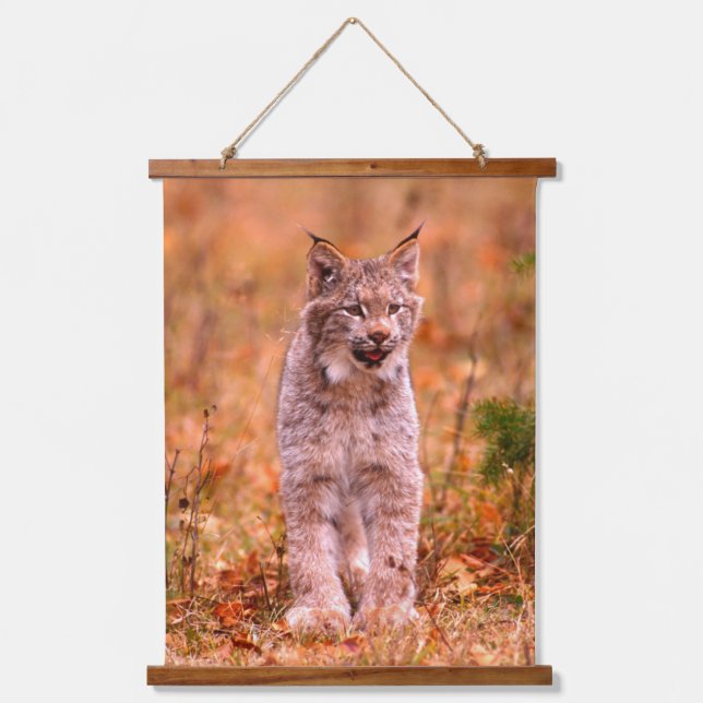 Bobcat Jagd | Herbstwald Wandteppich Mit Holzrahmen (Vorderseite)