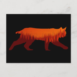 Bobcat Lynx Forest Tree Landschaft Wilderness Sun Postkarte