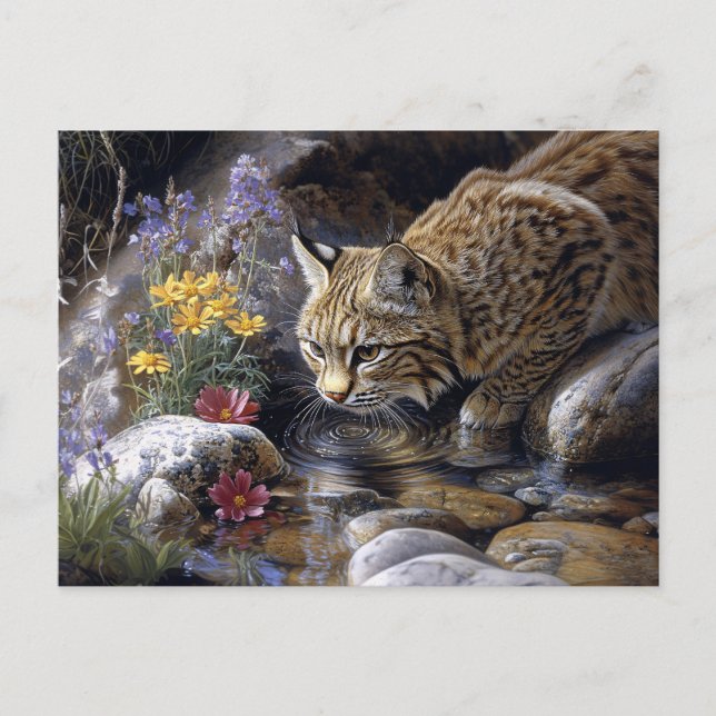 Bobcat mit Wildblumen Landschaftlich Art Postkarte (Vorderseite)
