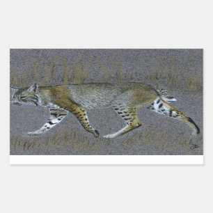 Bobcat Rechteckiger Aufkleber