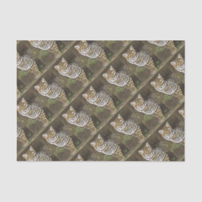 Bobcat Seidenpapier (Vorderseite)