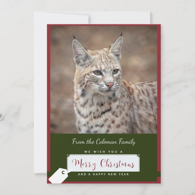 Bobcat Weihnachtskarte Feiertagskarte (Vorderseite)
