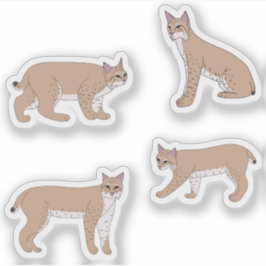 Bobcats Aufkleber