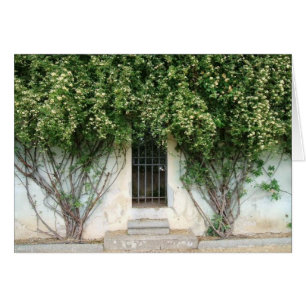 Boboli Gardens