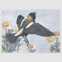 Bobolink Bird Decoupage Tissue Paper