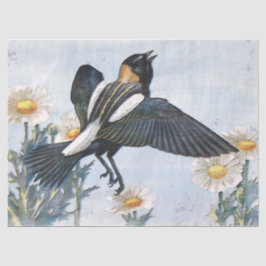 Bobolink Bird Decoupage Tissue Paper Seidenpapier