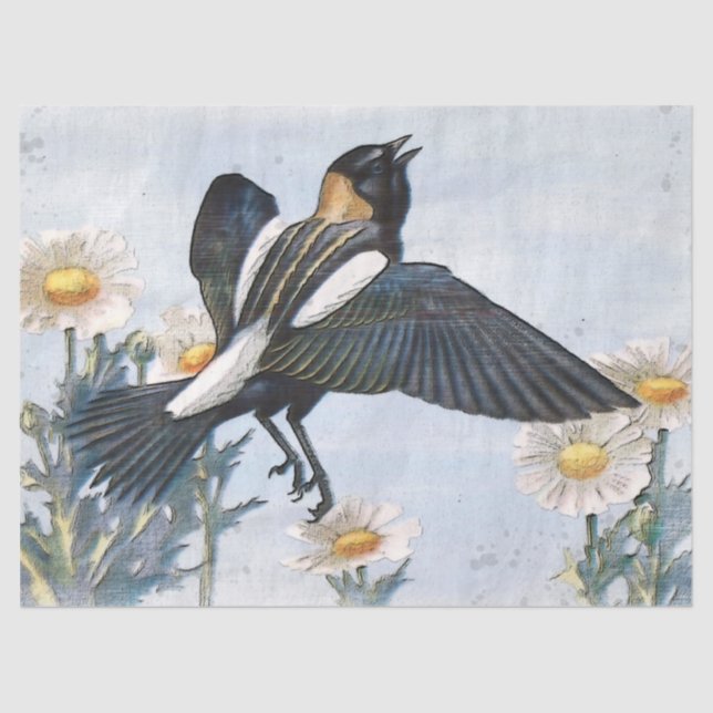 Bobolink Bird Decoupage Tissue Paper Seidenpapier (Vorderseite)