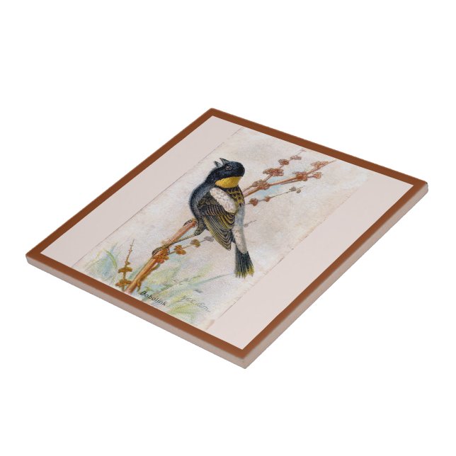 Bobolink Grande Carreaux en céramique pour oiseaux (Côté)