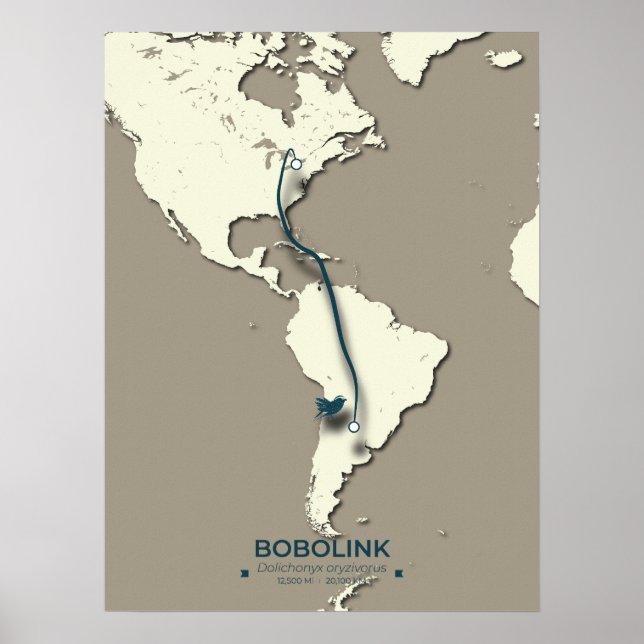 Bobolink Migration Map - Minimalistisch Vintag Poster (Vorne)