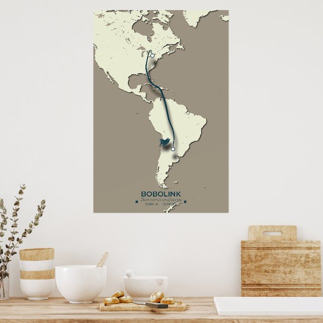 Bobolink Migration Map - Minimalistischer Vintager Poster (Küche)