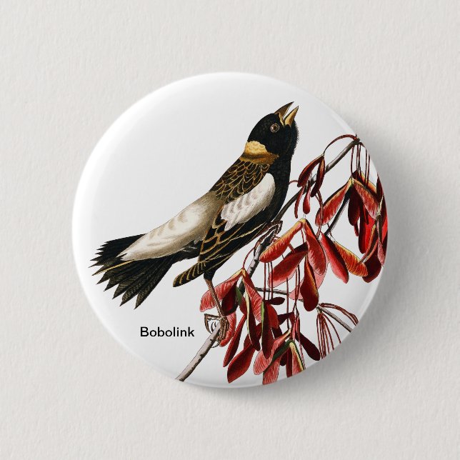 Bobolink von John James Audubon, Vogelbeobachter,  Button (Vorderseite)