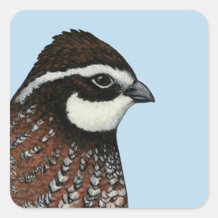 Bobwhite Quad Head Quadratischer Aufkleber