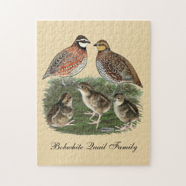 Bobwhite Quail (Vertikal)