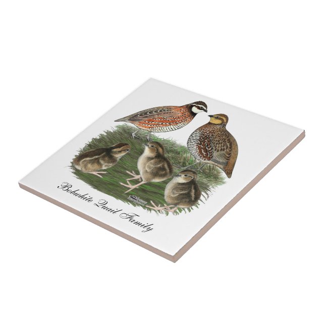 Bobwhite Quail Fliese (Seite)
