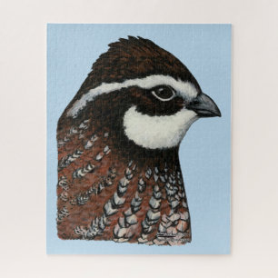 Bobwhite Quail Head