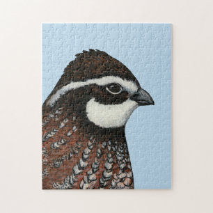 Bobwhite Quail Head