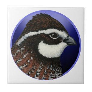 Bobwhite Quail Head Circle Fliese
