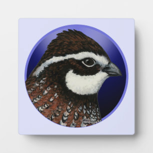Bobwhite Quail Head Circle Fotoplatte