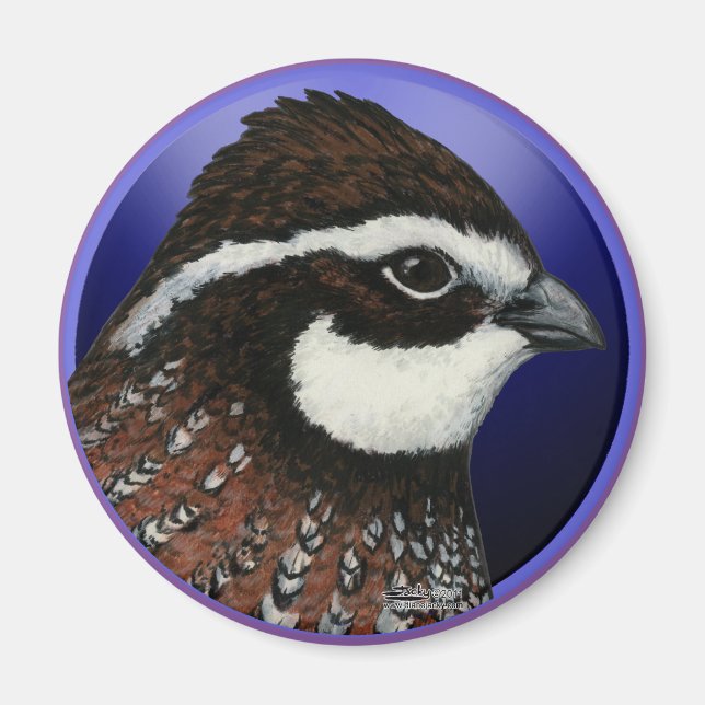 Bobwhite Quail Head Circle Magnet (Vorne)