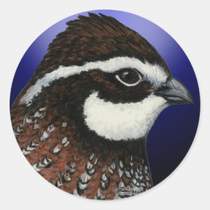 Bobwhite Quail Head Circle Runder Aufkleber