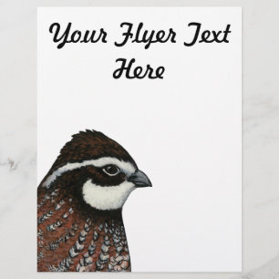 Bobwhite Quail Head Flyer