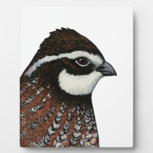 Bobwhite Quail Head Fotoplatte