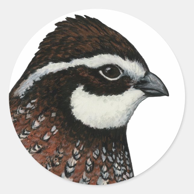 Bobwhite Quail Head Runder Aufkleber (Vorderseite)