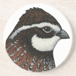 Bobwhite Quail Head Sandstein Untersetzer
