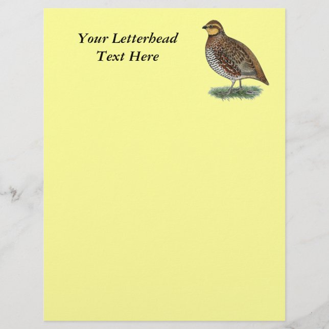 Bobwhite Quail Hen (Vorderseite)