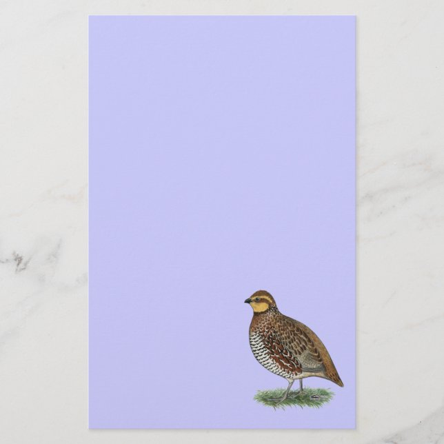 Bobwhite Quail Hen Briefpapier (Vorderseite)