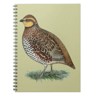 Bobwhite Quail Hen Notizblock