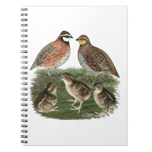 Bobwhite Quail Notizblock