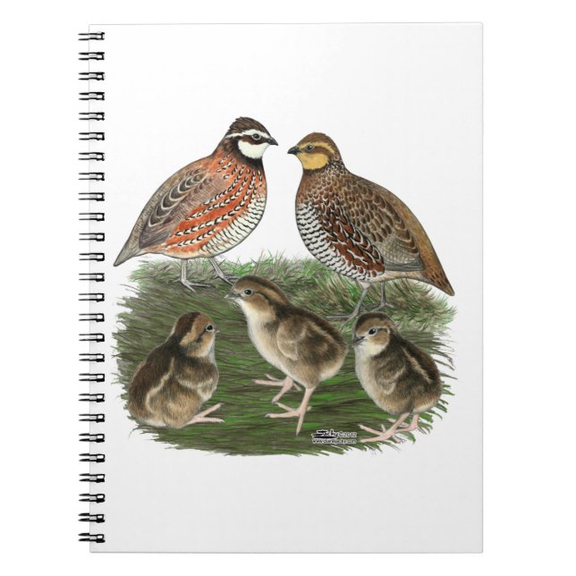 Bobwhite Quail Notizblock (Vorderseite)