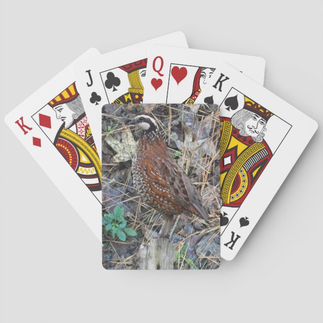 Bobwhite Quail Playing Cards, Quests Spielkarten (Rückseite)