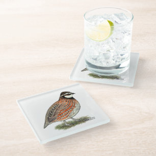 Bobwhite Quail Rooster Glasuntersetzer