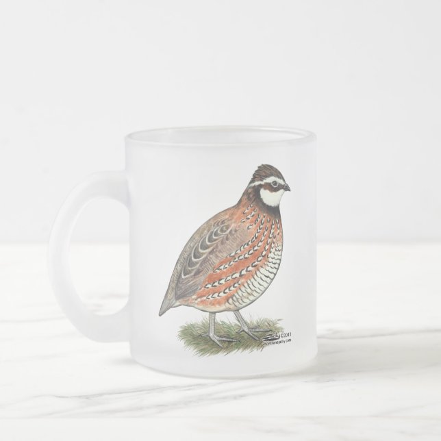 Bobwhite Quail Rooster Mattglastasse (Links)