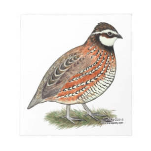 Bobwhite Quail Rooster Notizblock