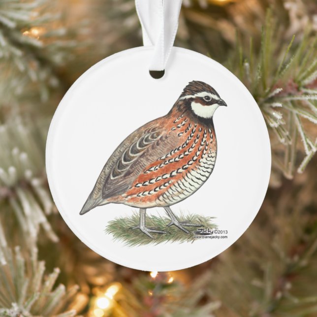Bobwhite Quail Rooster Ornament (Baum)